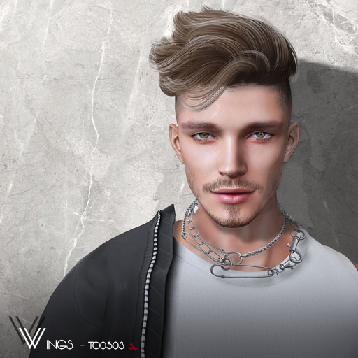Second Life Marketplace WINGSHAIRTO0503 Variety (Pack)